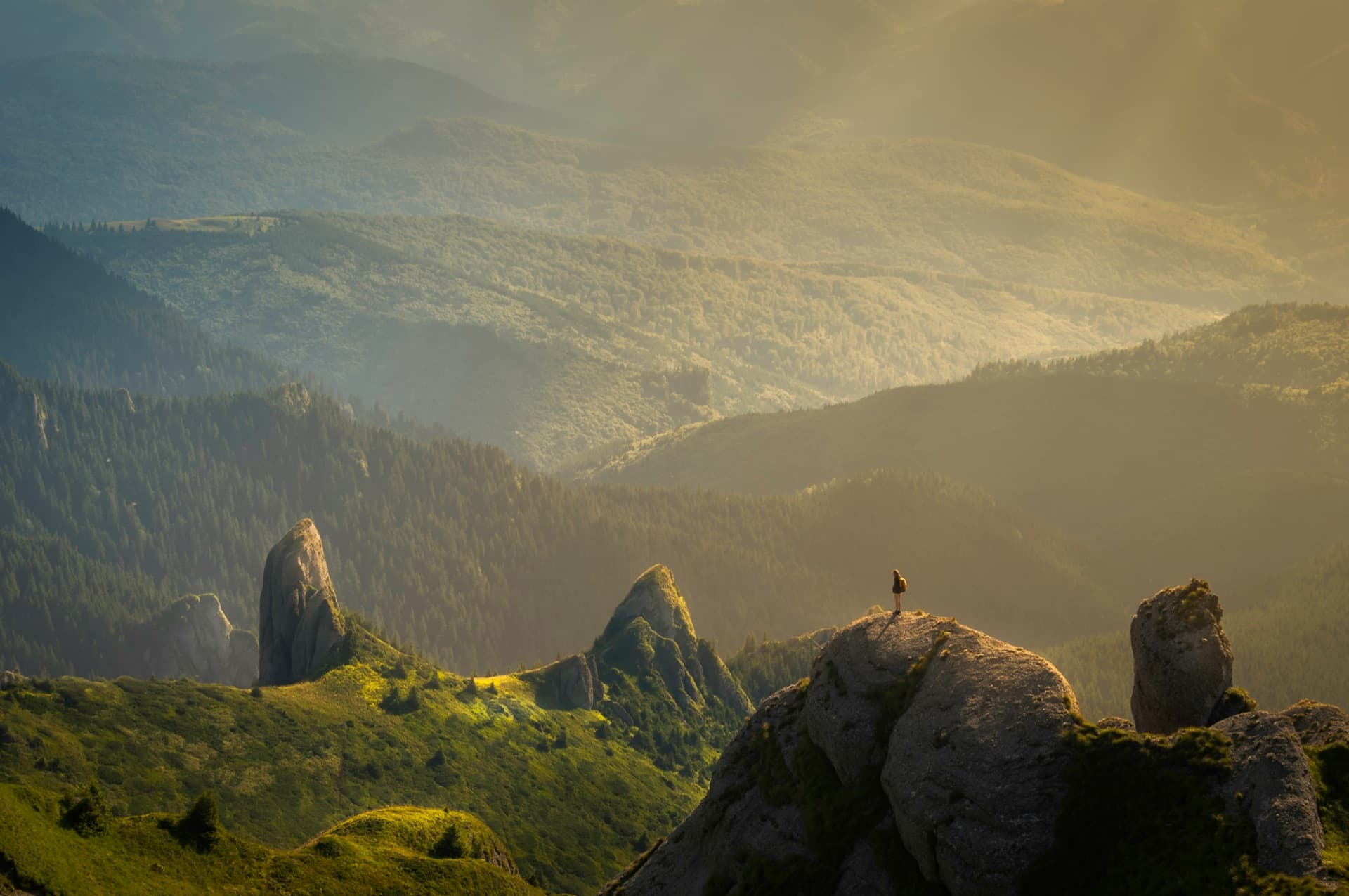 Travel community
